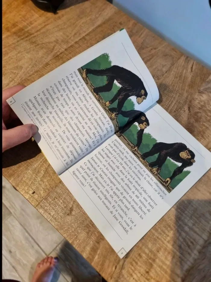 Histoires vraies erasme sos singes en danger - photo numéro 2