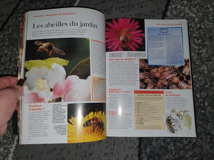 Livre "La vie cachée des jardins" - photo numéro 9