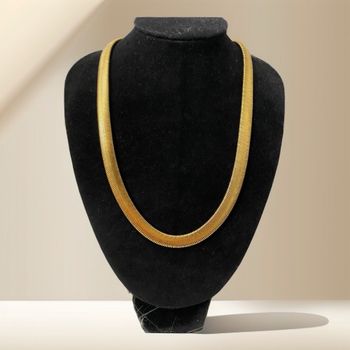 Collie en acier inoxydable