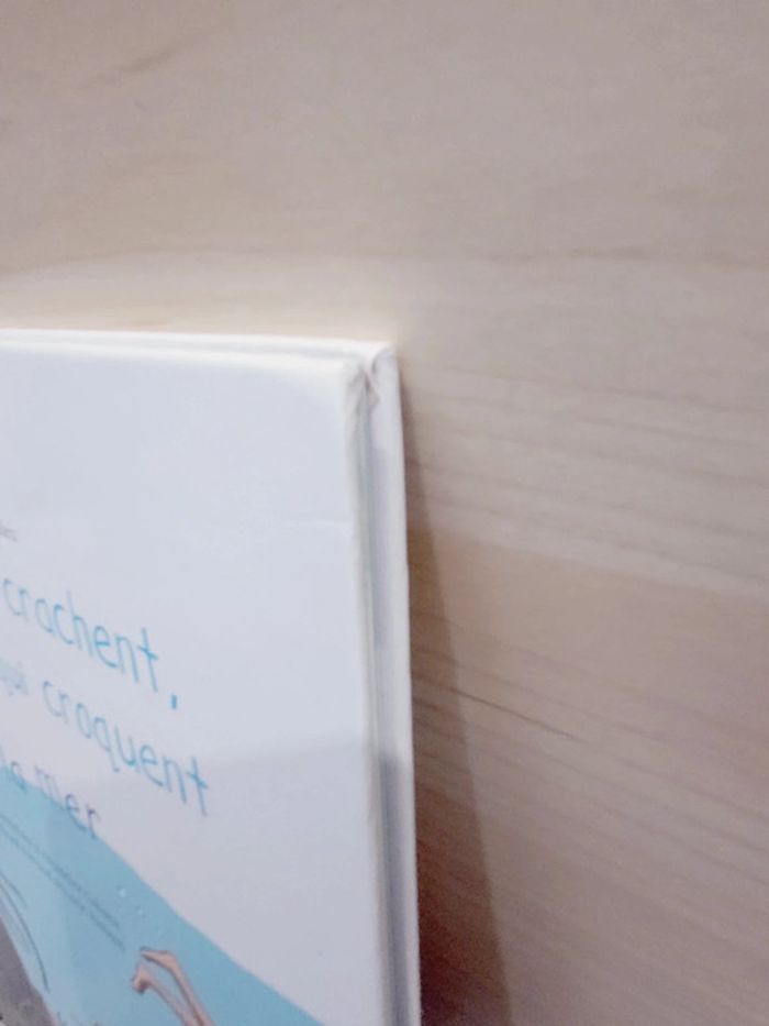 📚 Livre : Les bêtes qui crachent, qui collent, qui croquent à la mer - photo numéro 12