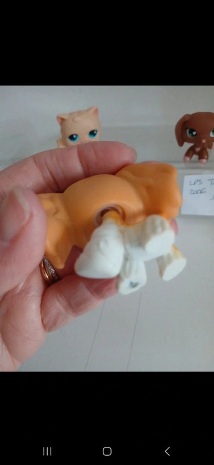 Littlest petshop - photo numéro 10