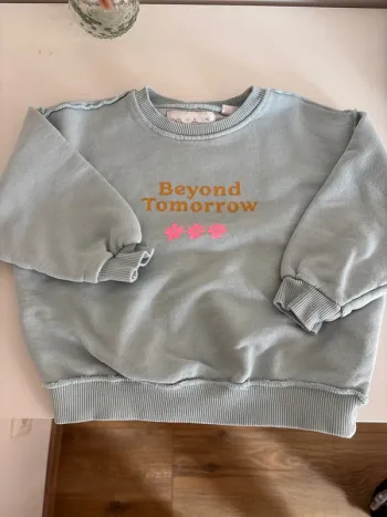 Pull Zara
