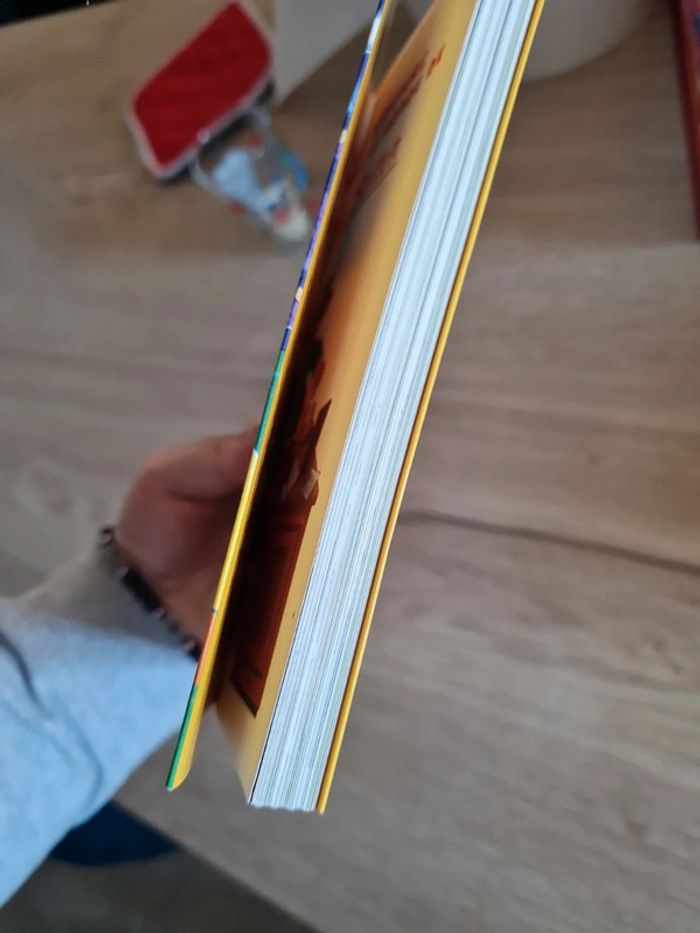 Livre Finale de foot à Sourissia - photo numéro 3