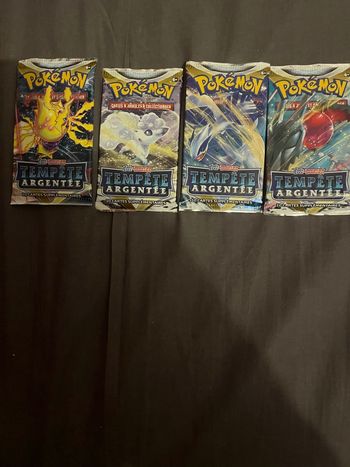 Artset tempête argenté Pokémon