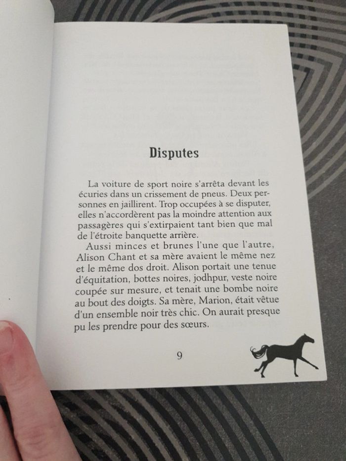 Le ranch des mustangs - cheval sauvage - photo numéro 3