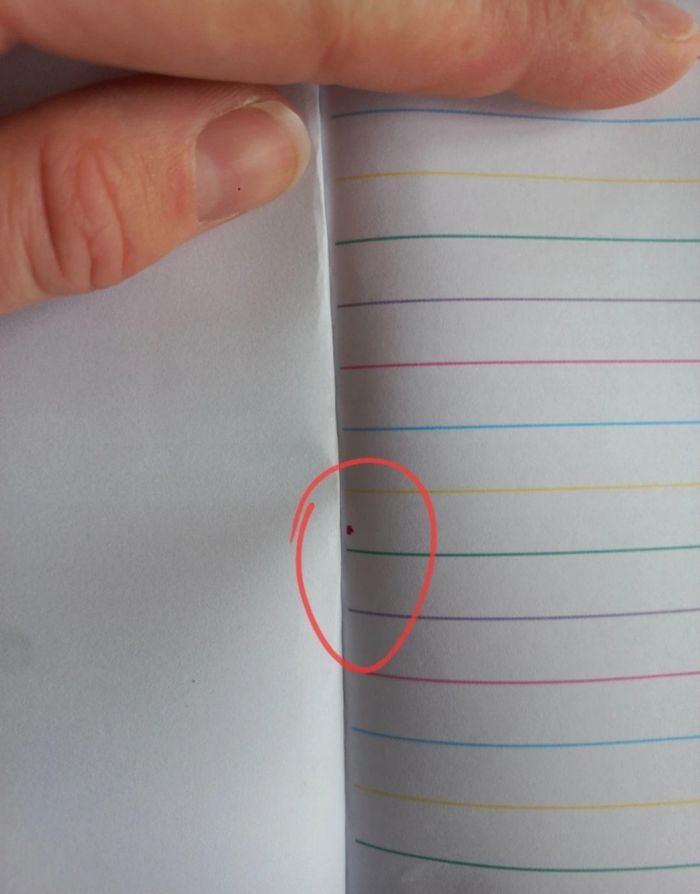 Carnet poupée LOL - photo numéro 9