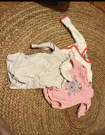Lot bodies ml