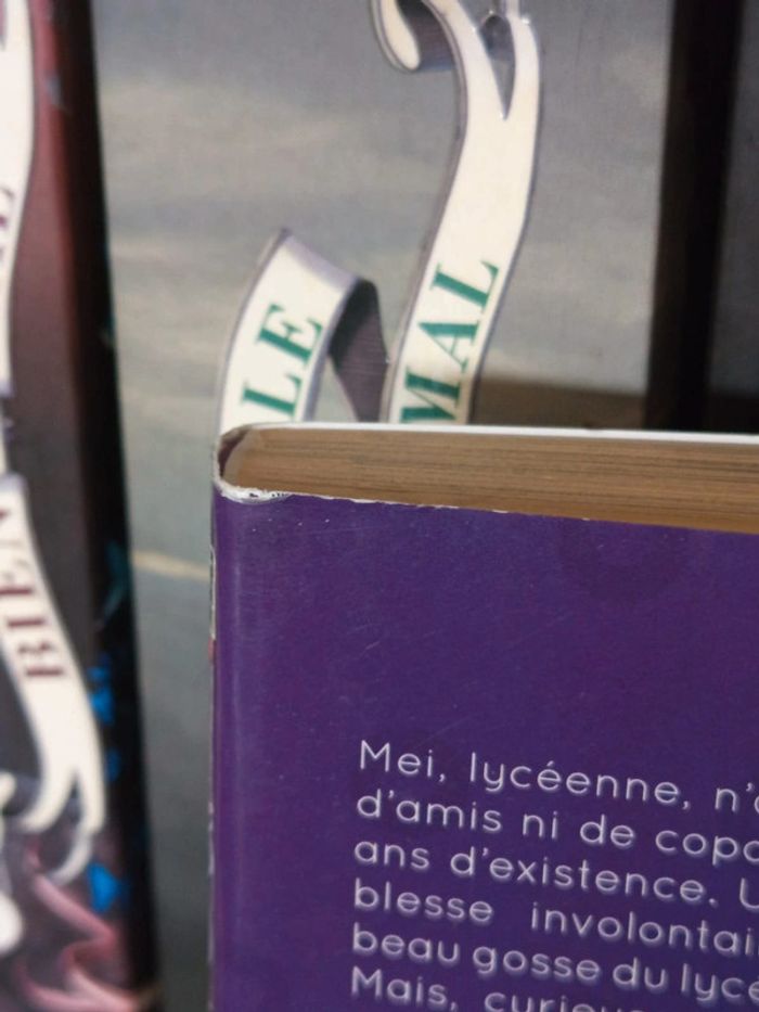 Lot manga 3 tomes Say I Love You - photo numéro 7