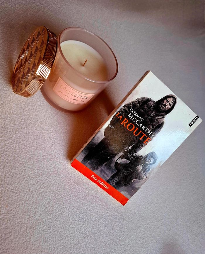 Livre survie , apocalyptique , science-fiction " La route " de Cormac McCarthy.