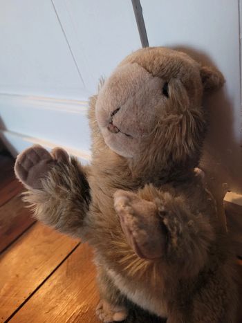 Peluche ancienne Steiff Marmotte (castor) collection doudou forêt debout