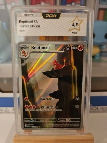 Reptincel 169/165 Pca9.5