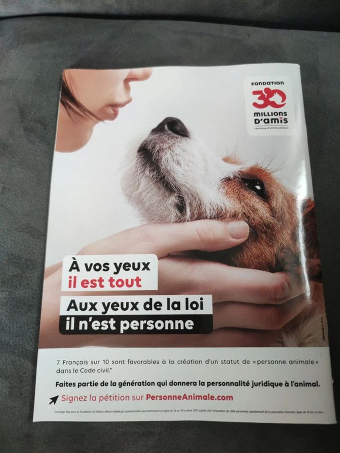 Magazine 30 millions d'amis numéro 386 été juillet août 2020 - photo numéro 2