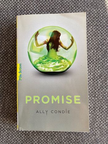 Livre promise