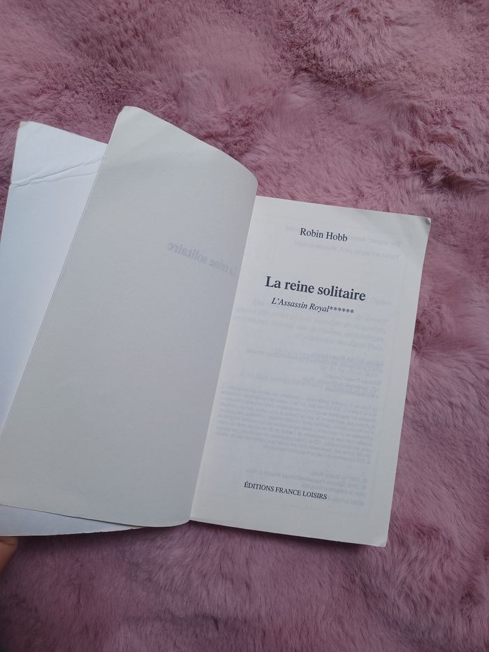 Livre roman: La reine solitaire - photo numéro 2