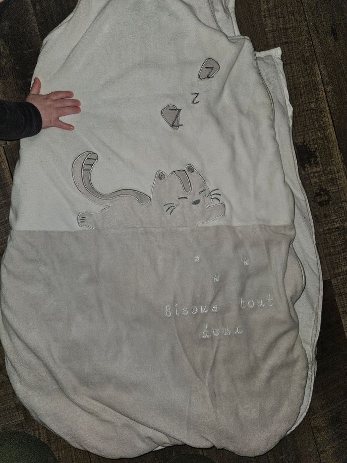 Gigoteuse chat - photo numéro 4