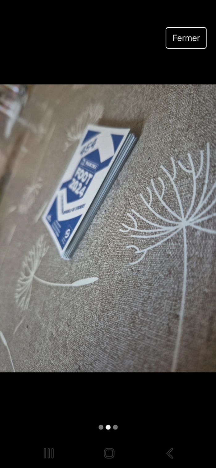 Stickers panini foot 2024 - photo numéro 2