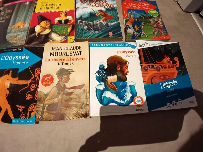 divers livres collège - photo numéro 2