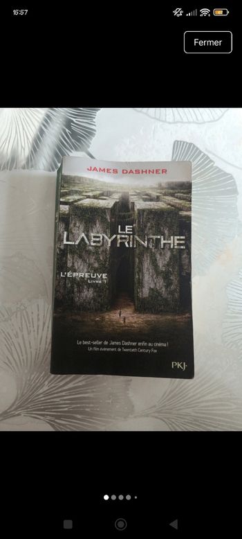 Livre Le labyrinthe
