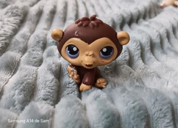 Petshop singe 359