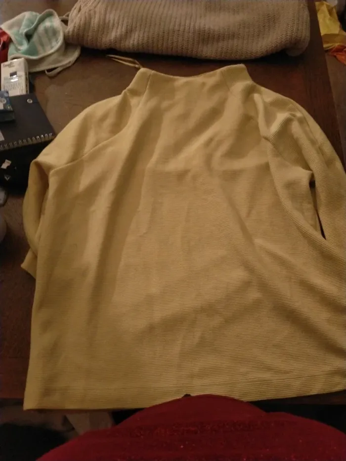 Pull ou t-shirt épais