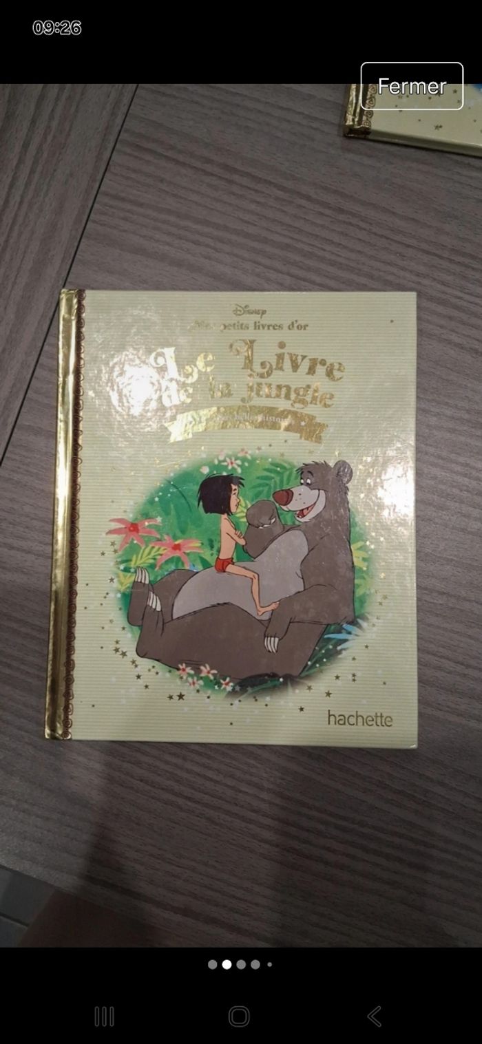 Lot 10 livres mes petits livres d'or - photo numéro 2