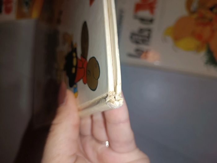 Bd Astérix - photo numéro 2