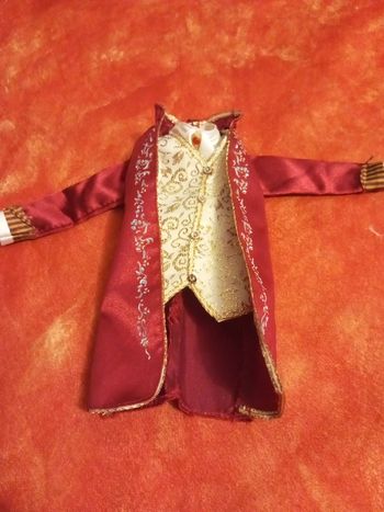 Veste haut jacket redingote du prince Dominick