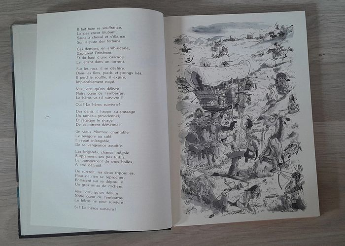 Pelliculture americaine - photo numéro 4