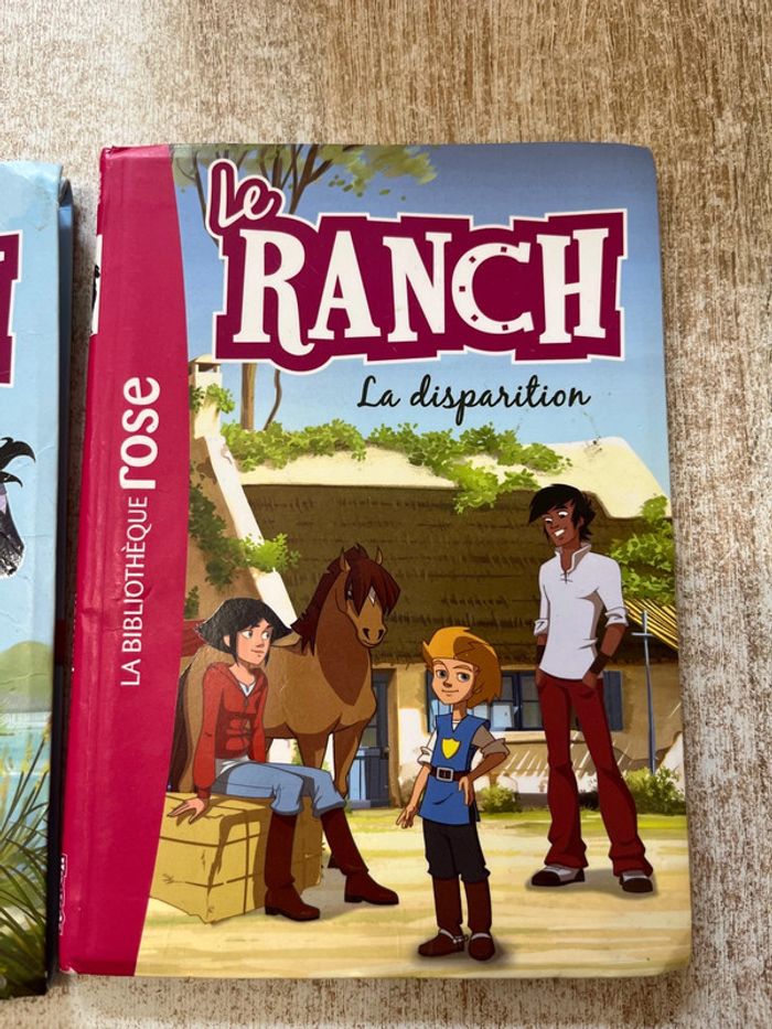 Lot livre le ranch - photo numéro 4