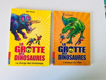 Lot de 2 livres la grottes des dinosaures