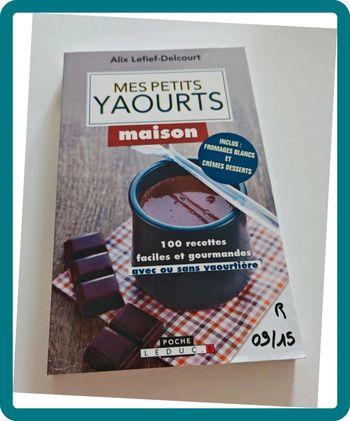 Mes petits yaourts maison – Lefief-Delcourt | 100 recettes, sans/sous yaourtière, très bon état