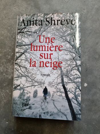 Une lumière sur la neige