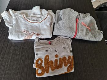 Lot 3 sweat pull gilet a capuche 5 ans