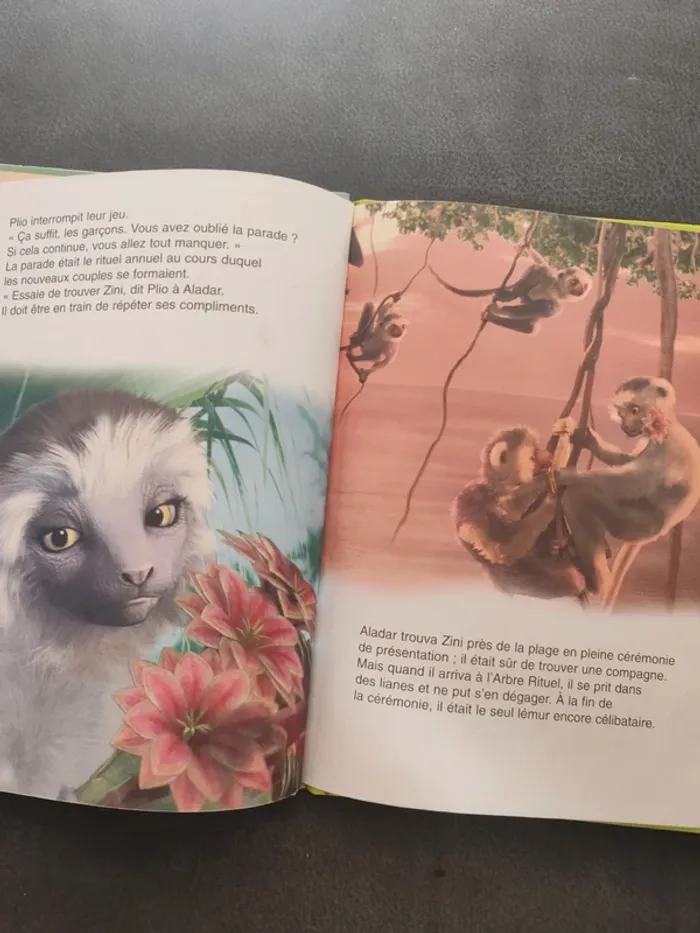 Livre dinosaure - photo numéro 2