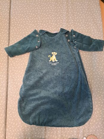 Gigoteuse Disney baby