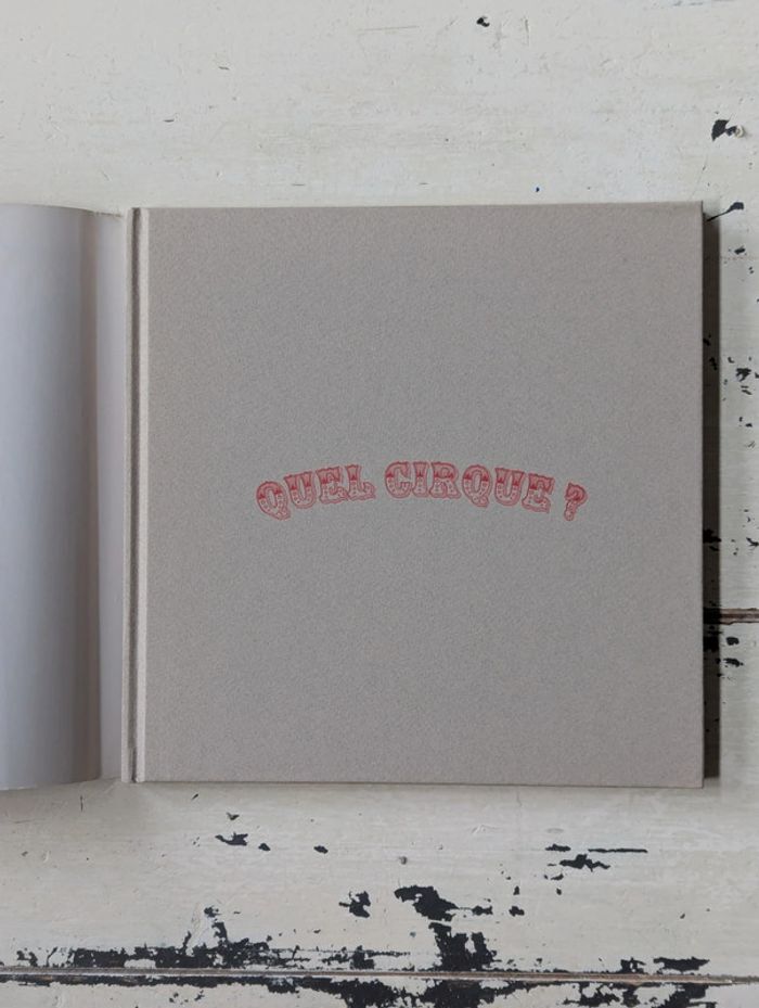 Quel Cirque ? - photo numéro 3