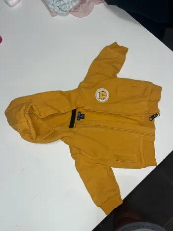 Sweat à capuche lion
