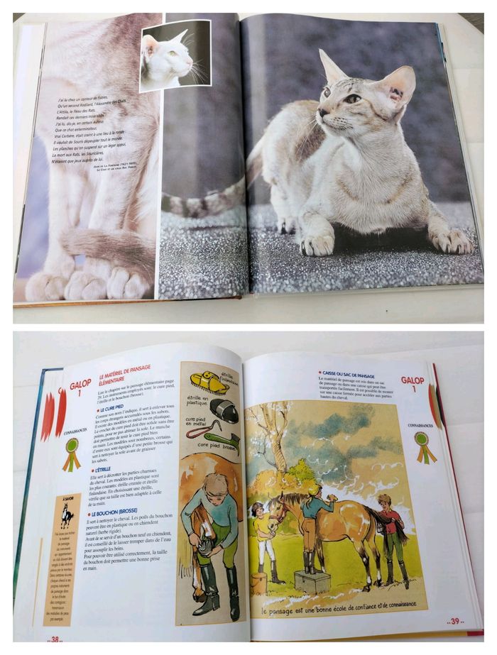 Lot Encyclopédie du chat et livre équitation galop 1 à 4 - photo numéro 2