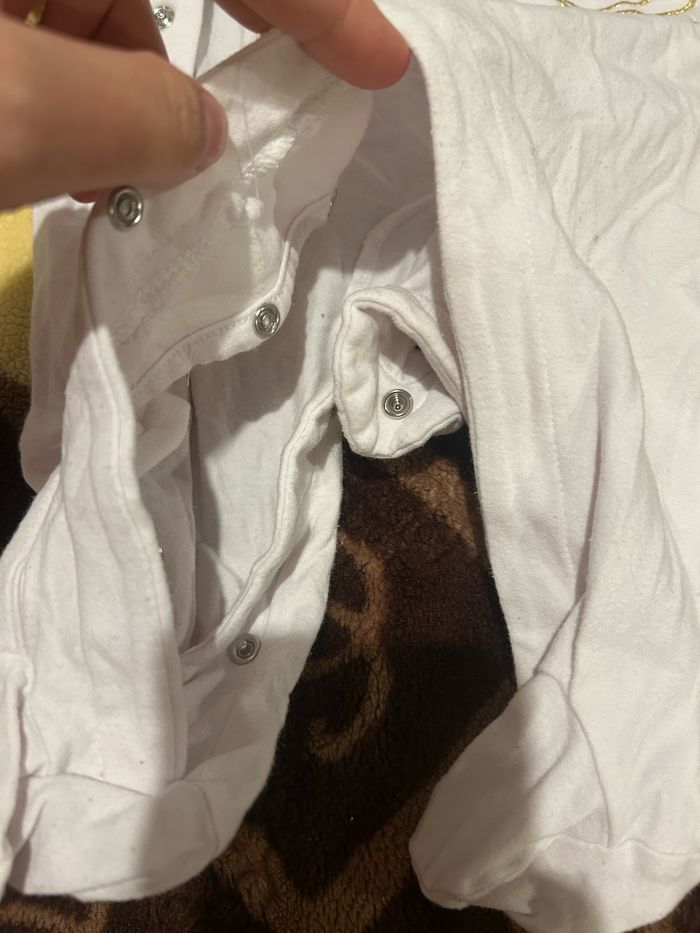 Grenouillère - photo numéro 4