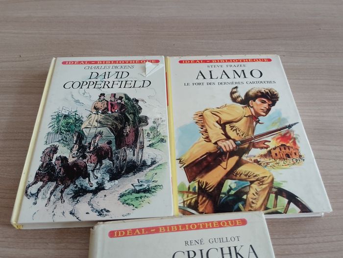 Lot de 3 livres, Divers (idéal bibliothèque)(9) - photo numéro 2