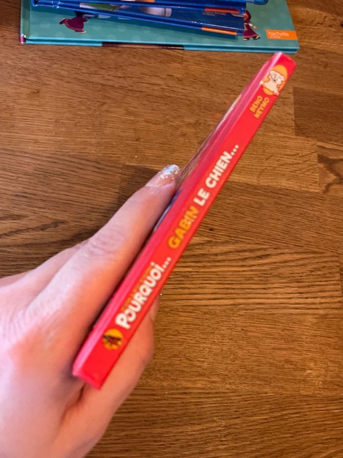 Livre Collection Pourquoi Gabin Le chien - photo numéro 2