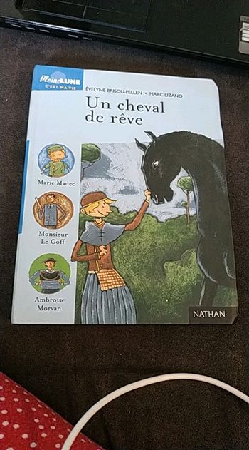 Un cheval de reve