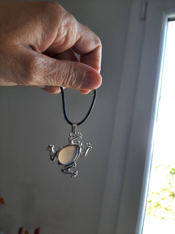 Collier avec pendentif grenouille avec pierre véritable