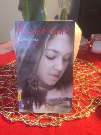 Heartland - Je reste ! Lauren Brooke