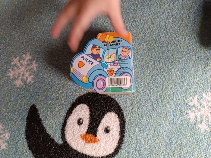 Livre police - photo numéro 10