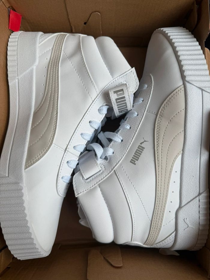 Puma Carina - photo numéro 2