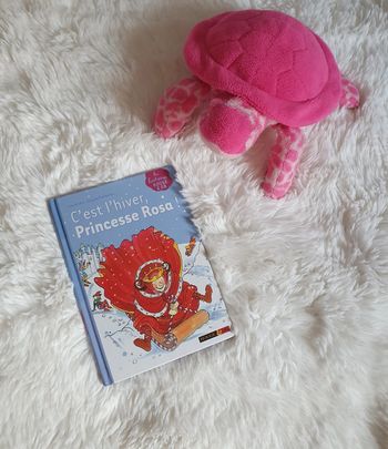 📚 Livre 📚 C'est l'hiver Princesse Rosa