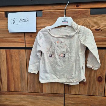 Tee shirt 18 mois