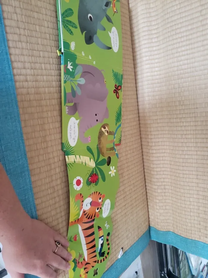 Joue à cache-cache avec tigre - photo numéro 9
