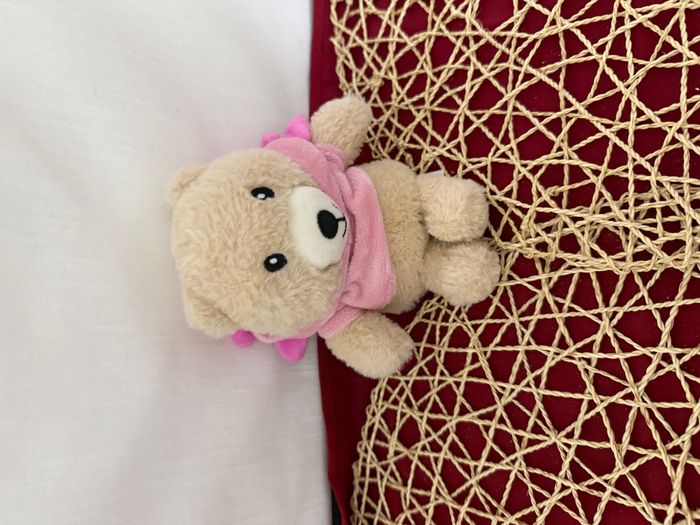 doudou ours déguisé - photo numéro 4